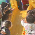 滑梯上的“小客人”：萬(wàn)福店中心幼兒園萌娃與蝸牛的自然課堂
