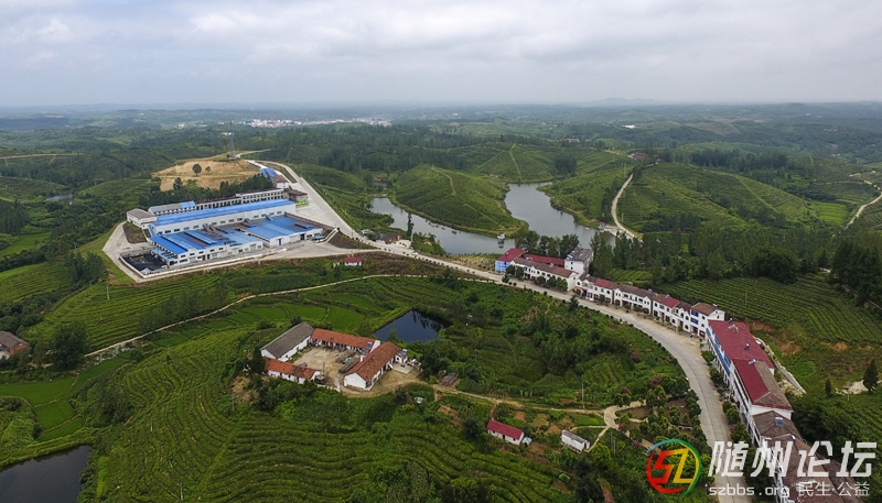 yfs1   作者：劉華義.jpg