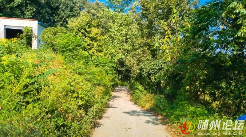 浪河小學(xué)開(kāi)展暑期安全教育和關(guān)愛(ài)留守兒童、情系困難學(xué)生扶貧家訪活動(dòng) (6).jpg.jpg