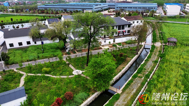 從“一時(shí)美”到“持久美” ——隨縣安居鎮(zhèn)持續(xù)擦亮村灣“潔凈底色”